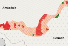 Mudança no Código Ambiental de MT pode redefinir limites entre a Amazônia e o Cerrado código