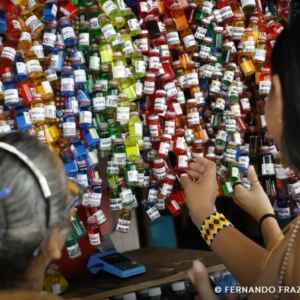 Empresários da Amazônia se prepararam para assumir papel de destaque na COP30 cop