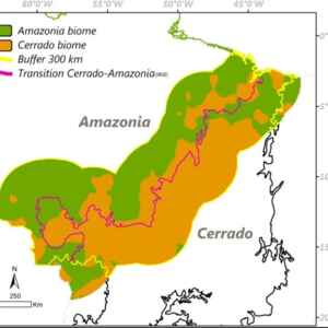 IPAM questiona Lei de Mato Grosso que transforma área do bioma Amazônia em Cerrado IPAM