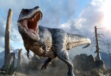 Tiranossauros europeu? Descoberta de fósseis de dentes reescreve a Pré-História fósseis