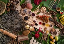 Governo Federal inicia preparativos para a Comissão Nacional de Bioeconomia governo