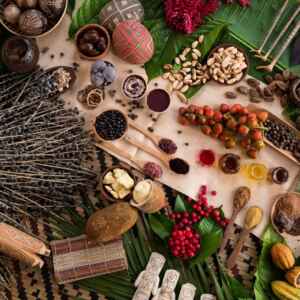 Governo Federal inicia preparativos para a Comissão Nacional de Bioeconomia governo