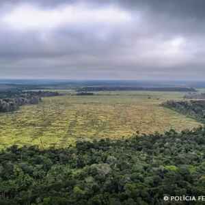 Mato Grosso aprova leis ambientais contrárias à legislação federal mato