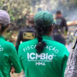 ICMBio aprova novo programa para transformação de multas ambientais em projetos sustentáveis ICMBio