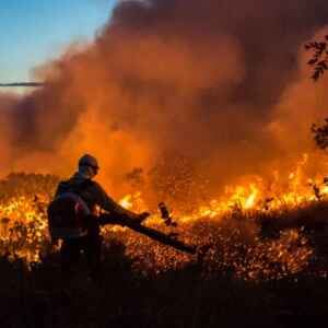 Ministro do STF estabelece prazo de 30 dias para elaboração de planos contra queimadas STF