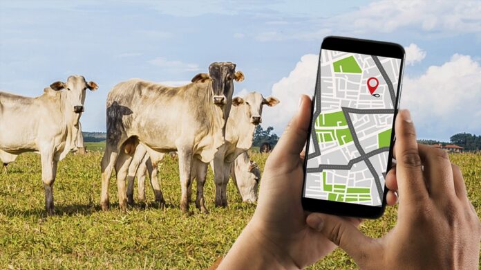 Screenshot 2025-01-27 112353 Davos