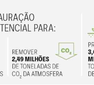 Transformação sustentável dos assentamentos cearenses, natureza e economia em harmonia Ceará