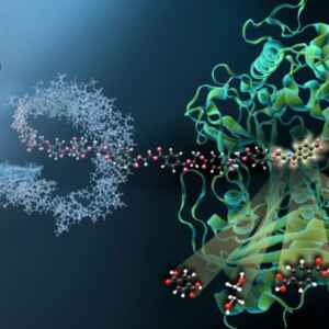 Cientistas brasileiros descobrem bactéria que transforma plástico em bioplástico bactérias