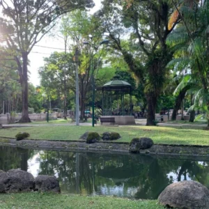 Manual técnico-científico oferece soluções para a arborização urbana na Amazônia arborização