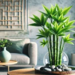 Como regar o bambu da sorte plantado em vasos da forma correta bambu da sorte