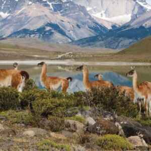 Fertilizante da Natureza natureza