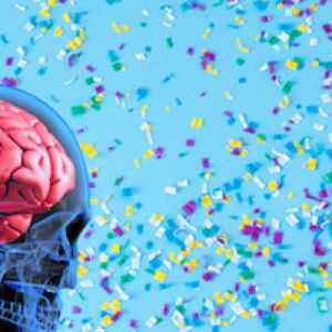 Pesquisadores da USP descobrem microplásticos no cérebro humano USP