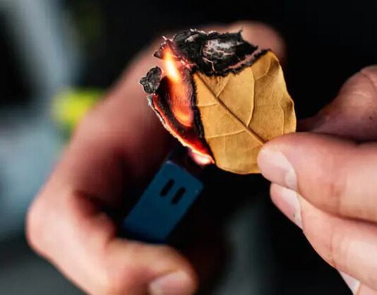 o significado energético de queimar folhas de louro