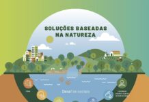 Soluções baseadas na natureza (SbN) podem gerar até 32 milhões de novos empregos até 2030 sbn