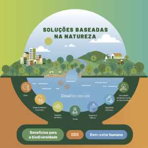 Soluções baseadas na natureza (SbN) podem gerar até 32 milhões de novos empregos até 2030 sbn