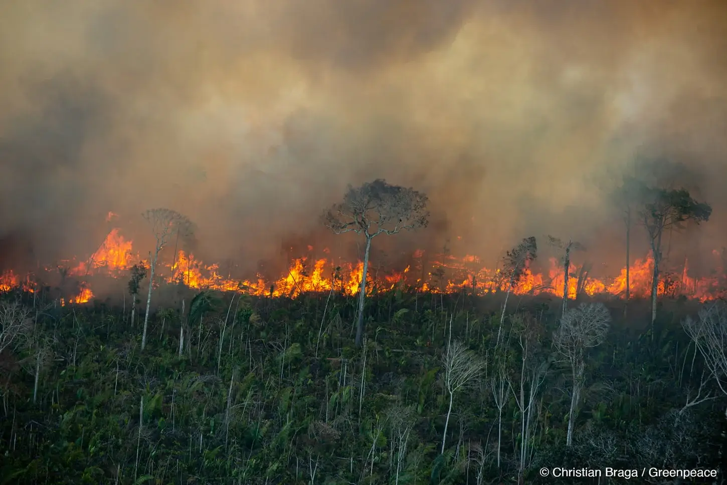 95db0fc1-gp1svods_cprght_reduced Para se antecipar a incêndios, Meio Ambiente declara estado de emergência nos biomas