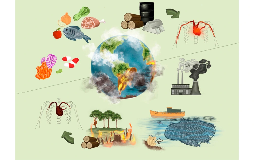 A interdependência da saúde humana e a saúde do planeta Terra. Por Kiera McCabe, artista do Youth STEM Matters.