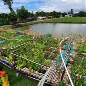 Relatório da ONU sobre a seca explora os “dividendos triplos” da construção da resiliência Alavancas transformadoras. Cultivo flutuante de bancos de ...