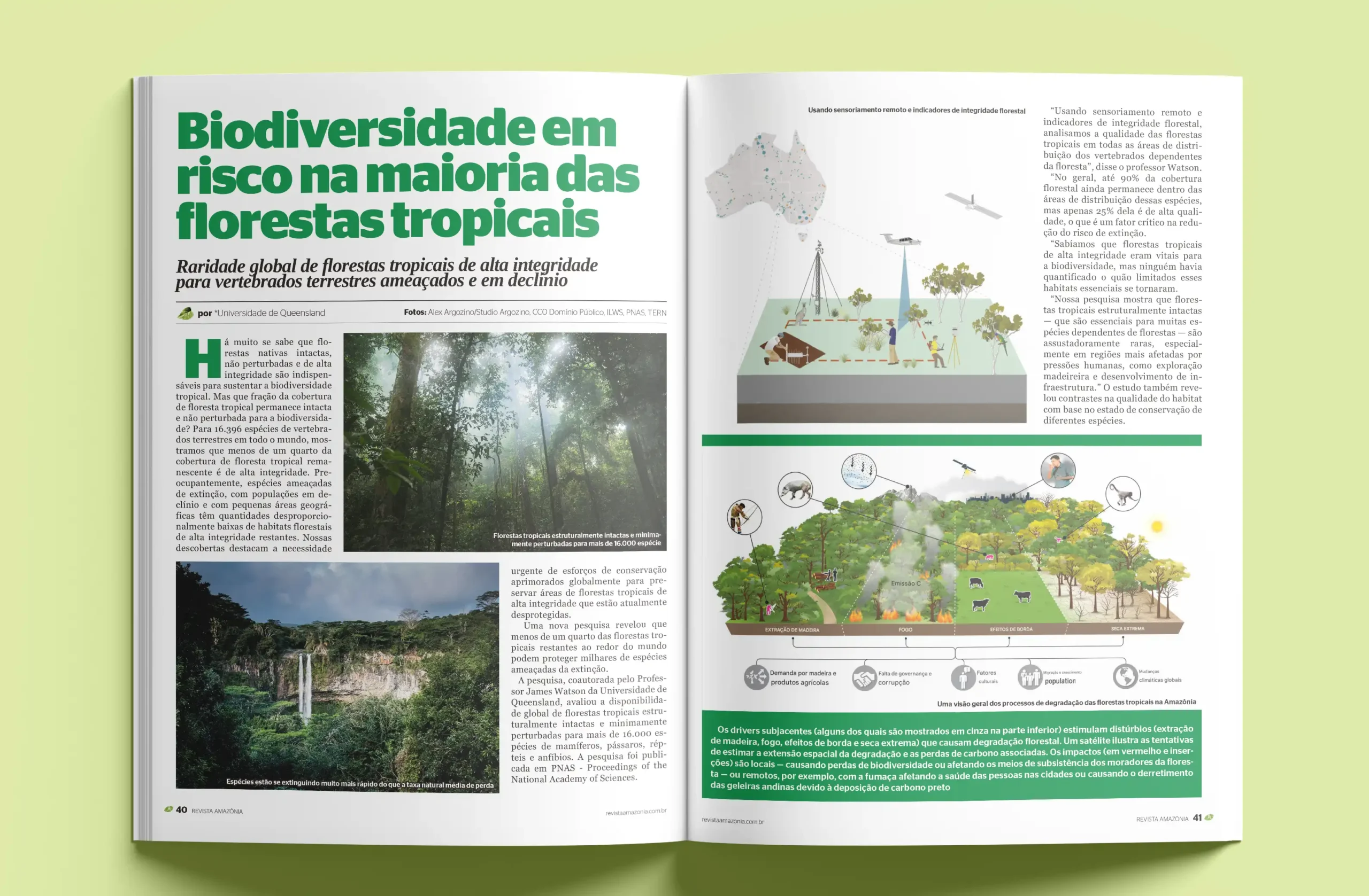 BIODIVERSIDADE-EM-RISCO-NA-MAIORIA-scaled Edição 138 da Revista Amazônia: Fevereiro 2025 - O Futuro da Floresta e do Planeta em Jogo