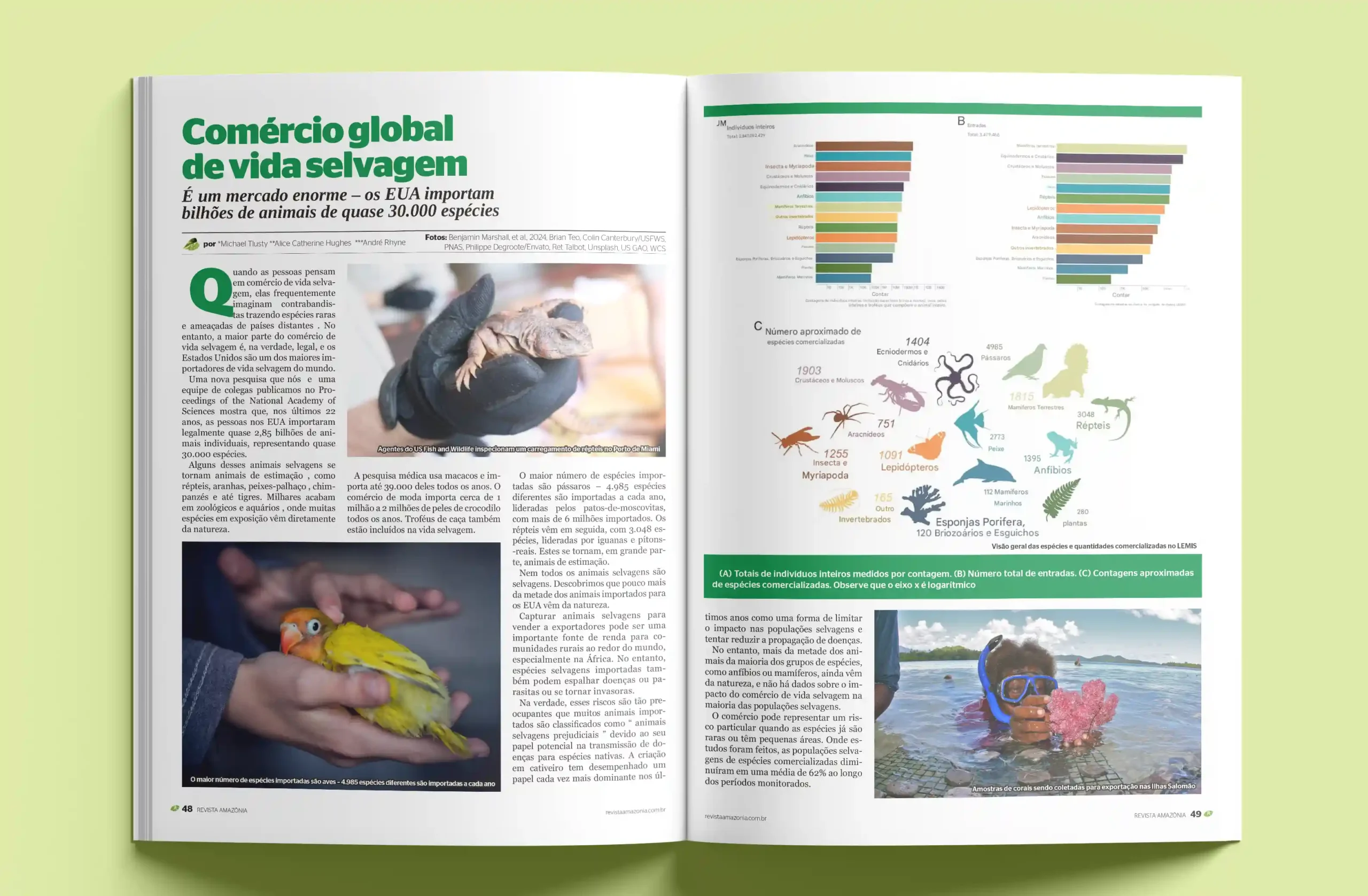 COMERCIO-GLOBAL-DE-VIDA-SELVAGEM-scaled Edição 138 da Revista Amazônia: Fevereiro 2025 - O Futuro da Floresta e do Planeta em Jogo