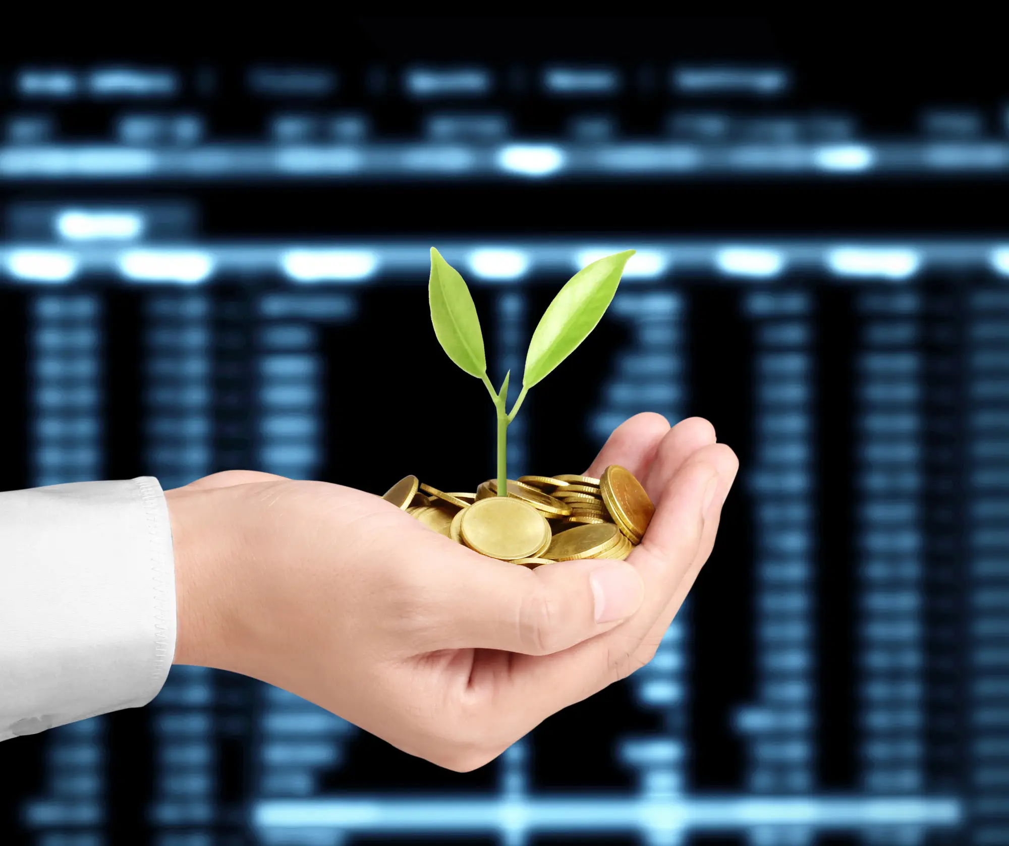 Instituições financeiras brasileiras ainda patinam em práticas de sustentabilidade, aponta ranking 3 instituições