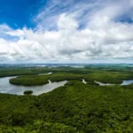 Desmatamento da Amazônia: como os satélites monitoram em tempo real Desmatamento da Amazônia - Foto by Depositphotos