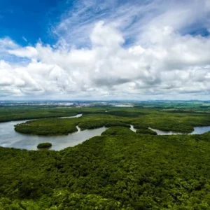 Desmatamento da Amazônia: como os satélites monitoram em tempo real Desmatamento da Amazônia - Foto by Depositphotos