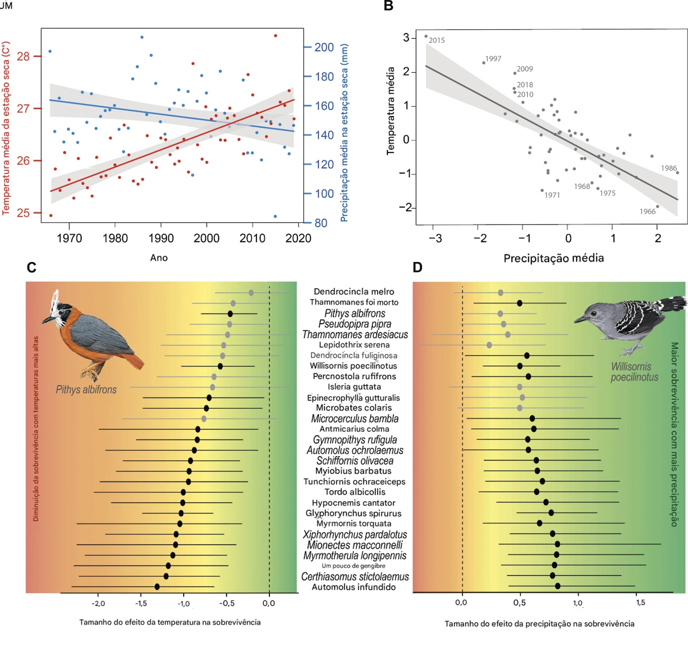 Nas partes mais intocadas e imaculadas da Amazônia, os pássaros estão morrendo 6 Efeitos do clima da estação seca na sobrevivência aparente das aves