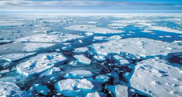 Ela fornece habitats para a vida selvagem e reflete a luz solar de volta para o espaço para ajudar a manter nosso planeta fresco. Mas os cientistas alertaram que o gelo marinho do mundo - a água congelada do oceano nos Polos Norte e Sul - caiu para um nível recorde. Na foto, fragmento de gelo no Polo Norte
