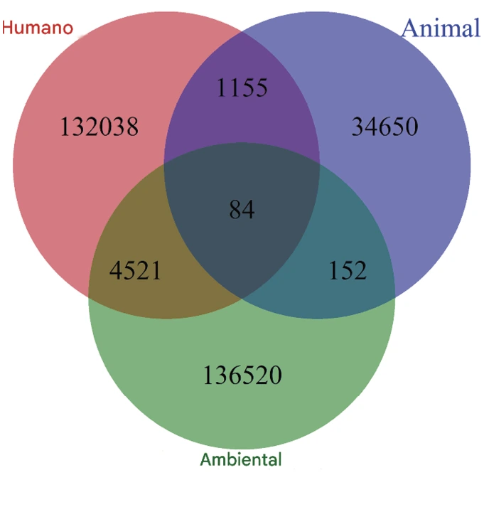 Extraído da Web of Science Core Collection, este diagrama mostra números de publicações usando os termos “saúde humana”, “saúde animal” e “saúde ambiental”