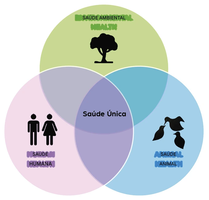 Integrará o conhecimento e a compreensão necessários da Terra, bem como as conexões animal-humano dentro dela   