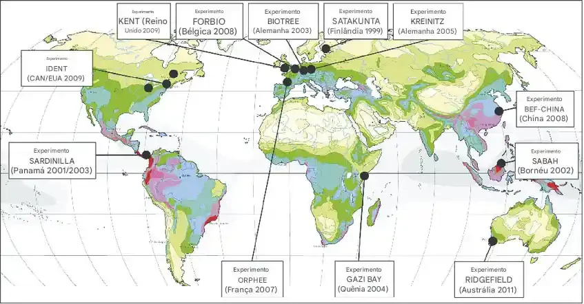Localiza__o_dos_locais_e_de_todos_os_outros-e1740669434877 A diversidade de árvores aumenta o sequestro de carbono