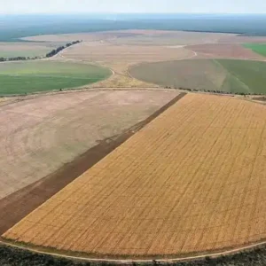 Exploração de aquíferos ameaça 55,4% de rios do Brasil Monocultura em São Desidério (BA), na região conhecida como Matopiba