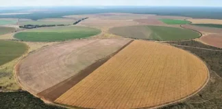 Monocultura em São Desidério (BA), na região conhecida como Matopiba