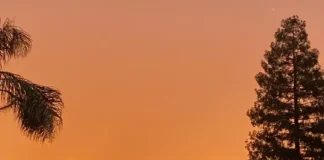 Limitar o aquecimento global é nossa responsabilidade