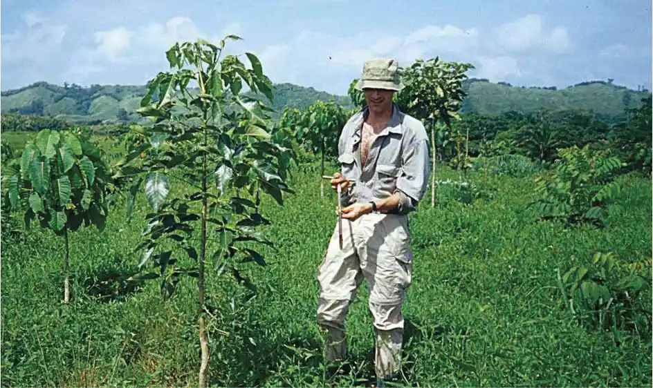 O_experimento_Sardinilla__essa_no_Panam__faz_parte_do_TreeDivNet_a_maior_rede_mundial_de_experimentos_de_diversidade_de__rvores A diversidade de árvores aumenta o sequestro de carbono