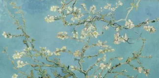 Os galhos de árvores na arte ao longo da história seguem regras geométricas relacionadas à geometria fractal. 'Flor de amendoeira' de Vincent van Gogh. Museu Van Gogh, Amsterdã.