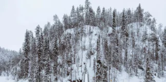 Qual é a cidade mais fria do mundo e como é viver lá