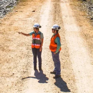 A polêmica da nova VP de RH da Vale . Meritocracia ou Retrocesso? nomeação