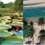 Brasil é destaque no ranking internacional com três lugares mais bonitos do mundo Brasil