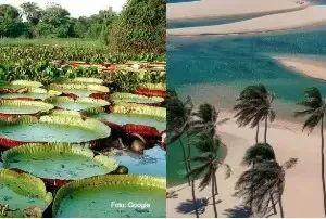 Brasil é destaque no ranking internacional com três lugares mais bonitos do mundo Brasil