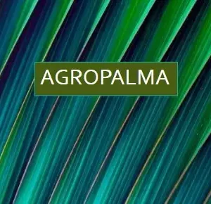 Relatório de Sustentabilidade da Agropalma Agropalma