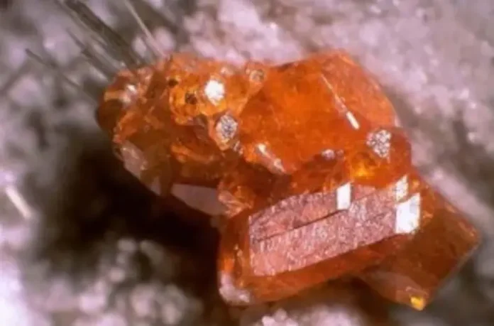 Screenshot 2025-02-13 214522 Finlândia