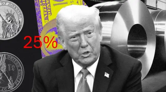 Screenshot-2025-02-14-170859 Impacto das tarifas americanas e a oportunidade de verticalização na indústria do aço brasileira