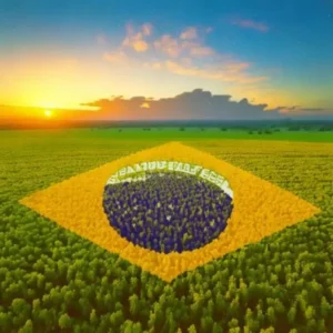 Após cinco anos o mercado de carbono de combustíveis ainda patina no Brasil mercado