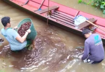 Amazônia