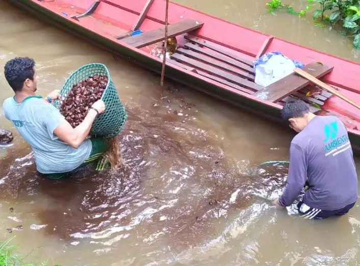 Amazônia