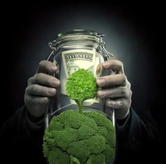 Screenshot-2025-02-17-152439 Mais um escândalo americano de falta de transparência em fundo “verde”