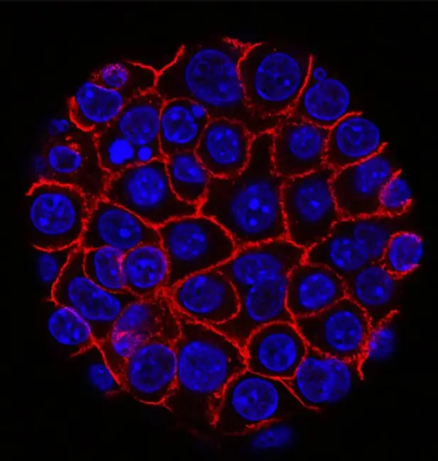 Screenshot 2025 02 17 160334