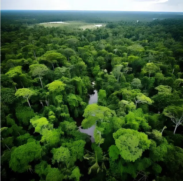 COP30 finalmente na floresta, com quem vive na floresta 3 cop